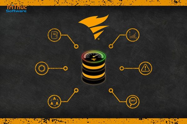 SolarWinds DPA là gì