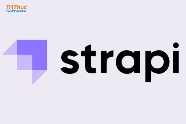 Strapi Là Gì? Hướng Dẫn Sử Dụng Headless CMS Mã Nguồn Mở Tốt Nhất 2026