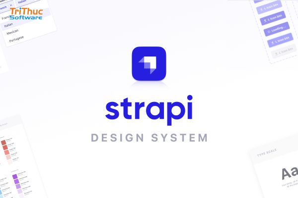 Strapi Là Gì? Hướng Dẫn Sử Dụng Headless CMS Mã Nguồn Mở Tốt Nhất 2026