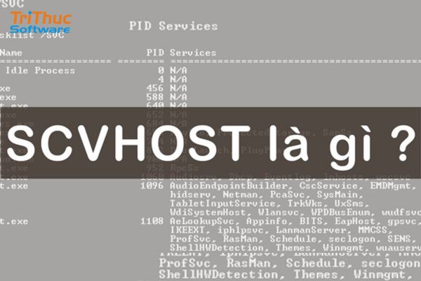 Svchost là gì