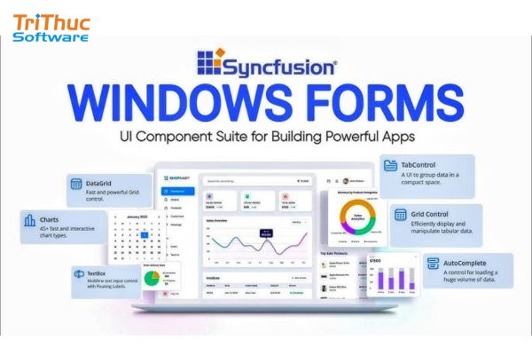 Syncfusion là gì