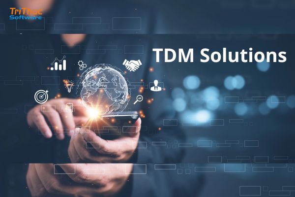 TDM Solutions là gì