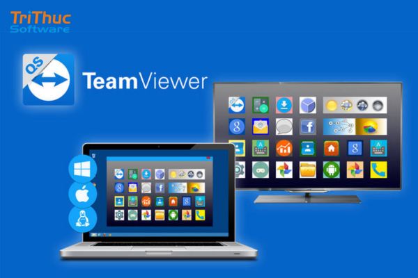 TeamViewer Embedded là gì