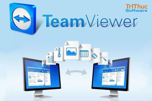 TeamViewer Embedded là gì