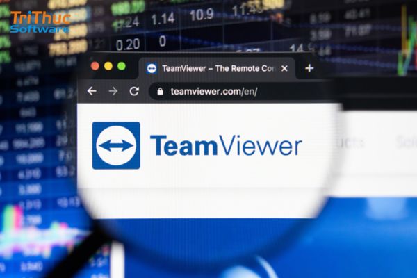 TeamViewer Embedded là gì