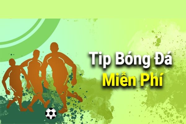 Tip Bóng Đá Là Gì? Có Những Loại Tip Bóng Đá Nào?