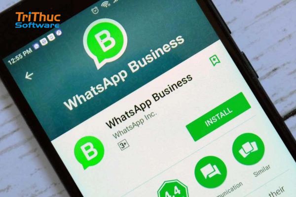 WhatsApp Là Gì? Tính Năng Và Cách Dùng WhatsApp “Mới”