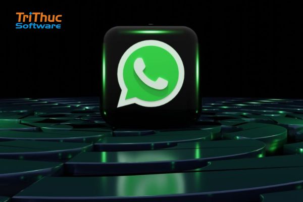WhatsApp Là Gì? Tính Năng Và Cách Dùng WhatsApp “Mới”
