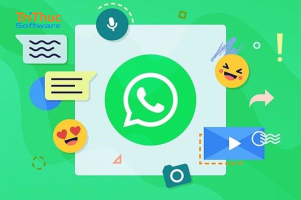 WhatsApp Là Gì? Tính Năng Và Cách Dùng WhatsApp “Mới”