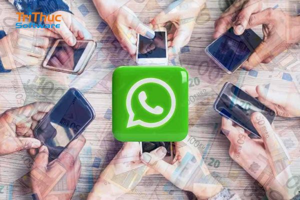 WhatsApp Là Gì? Tính Năng Và Cách Dùng WhatsApp “Mới”