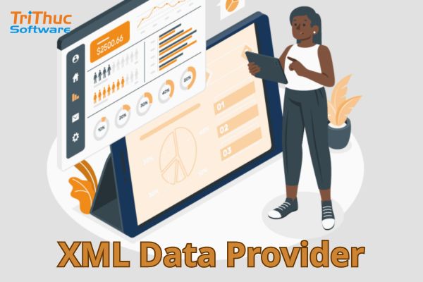 XML Data Provider