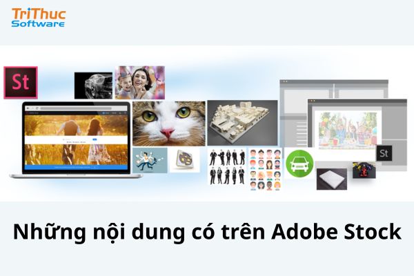 Adobe Stock
