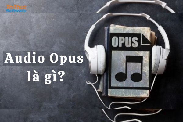 Audio Opus là gì? Tìm hiểu chi tiết về codec âm thanh hiện đại với chất lượng cao, độ trễ thấp, ưu nhược điểm và ứng dụng thực tế trong streaming, gọi thoại.