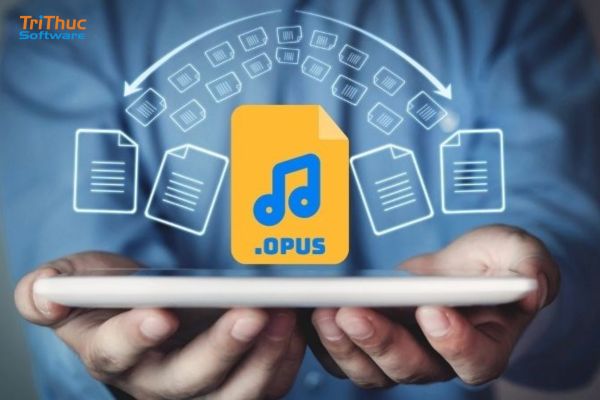 Audio Opus là gì? Tìm hiểu chi tiết về codec âm thanh hiện đại với chất lượng cao, độ trễ thấp, ưu nhược điểm và ứng dụng thực tế trong streaming, gọi thoại.