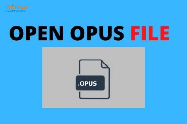 Audio Opus là gì? Tìm hiểu chi tiết về codec âm thanh hiện đại với chất lượng cao, độ trễ thấp, ưu nhược điểm và ứng dụng thực tế trong streaming, gọi thoại.