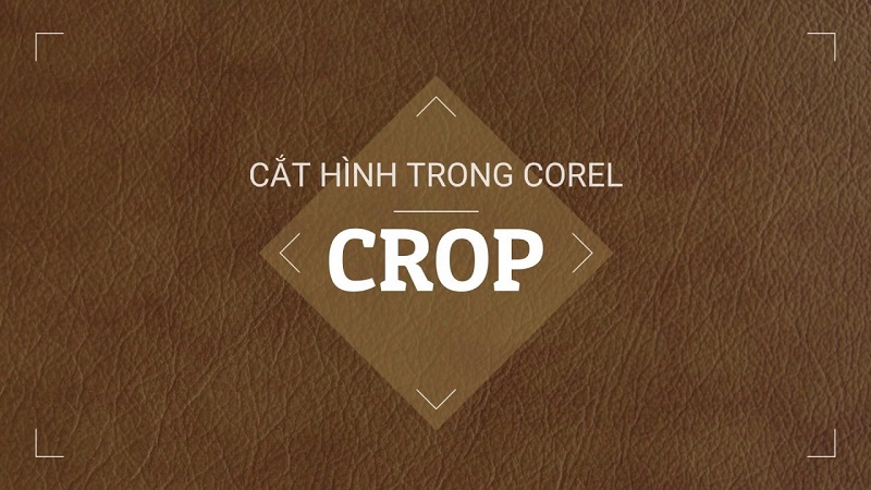 Hướng Dẫn 4+ Cách Cắt Hình Trong Corel Đơn Giản Hướng Dẫn 4+ Cách Cắt Hình Trong Corel Đơn Giản