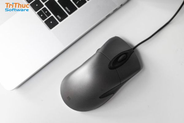Cách sửa chuột máy tính không di chuyển được