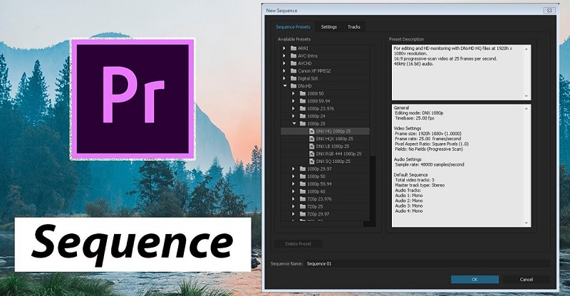 Hướng Dẫn Cách Chỉnh Sửa Sequence Trong Adobe