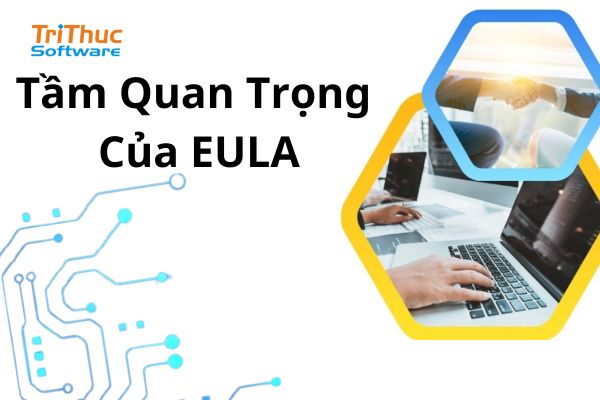 EULA Là Gì? Các Thành Phần Của EULA