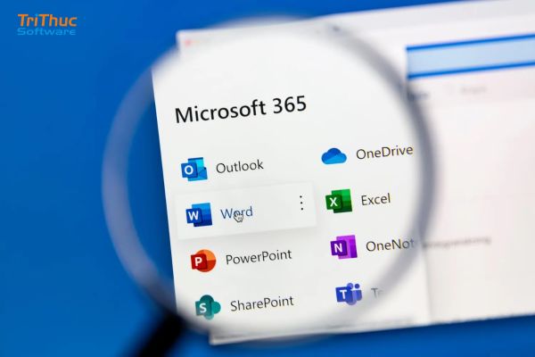 Microsoft Office 365 Enterprise Microsoft Office 365 Enterprise