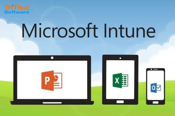 Microsoft Intune là gì