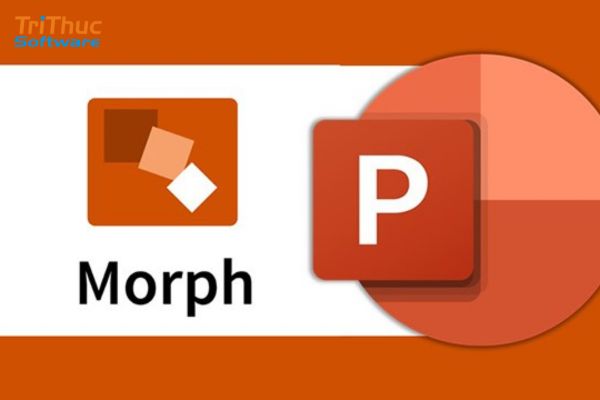 Morph là gì