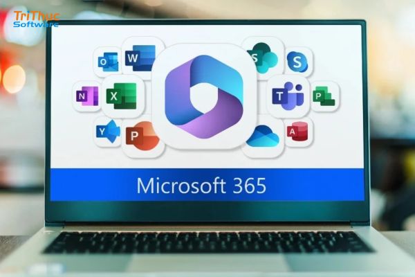 Tư vấn mua Office 365 cho công ty lớn, nhỏ tại Việt Nam