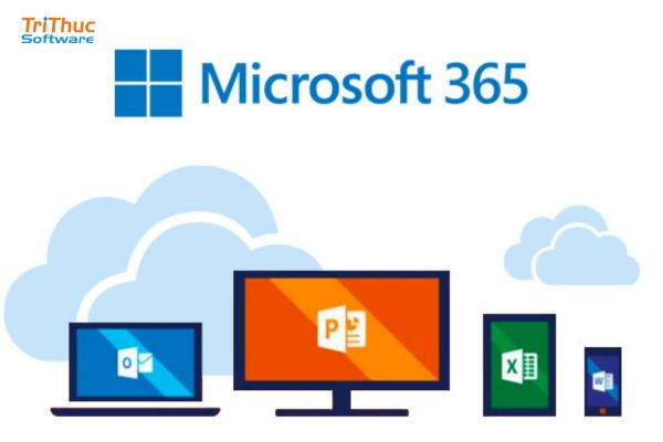 Tư vấn mua Office 365 cho công ty lớn, nhỏ tại Việt Nam