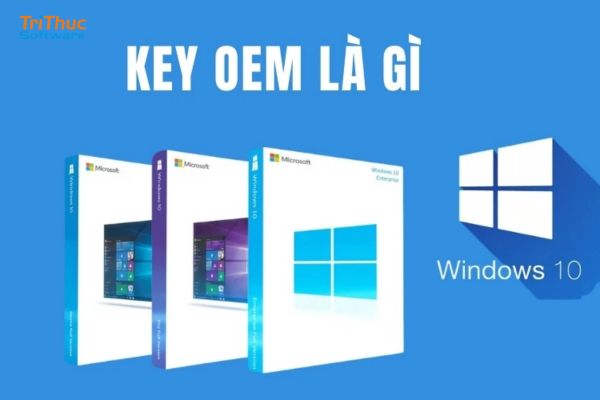 Mua Windows OEM bản quyền chính hãng – Giải pháp Windows hợp lệ cho cá nhân và doanh nghiệp
