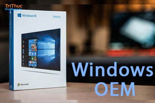 Mua Windows OEM bản quyền chính hãng – Giải pháp Windows hợp lệ cho cá nhân và doanh nghiệp