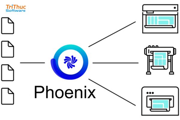 Phần mềm Enfocus Phoenix là gì? Tính năng của Phoenix bản quyền Phần mềm Enfocus Phoenix là gì? Tính năng của Phoenix bản quyền