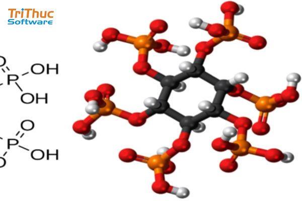 Phần Mềm ChemSketch Là Gì? Cách Cài Đặt Và Sử Dụng ChemSketch