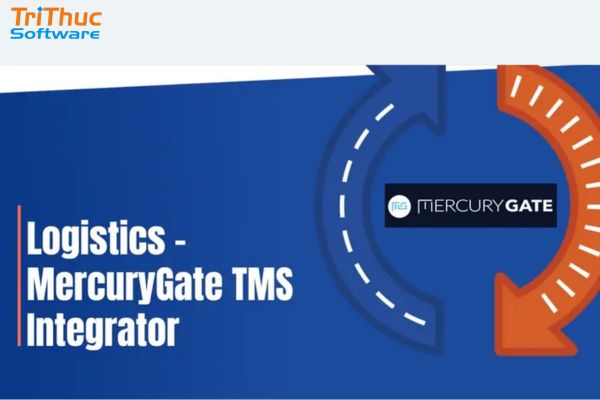 Top 10+ Phần Mềm Quản Lý Vận Tải Tốt Nhất Top 10+ Phần Mềm Quản Lý Vận Tải Tốt Nhất