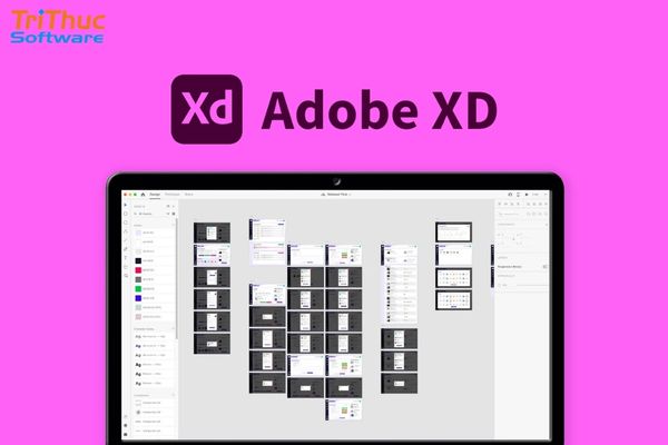 Adobe XD là công cụ thiết kế giao diện UI/UX cho website và ứng dụng di động
