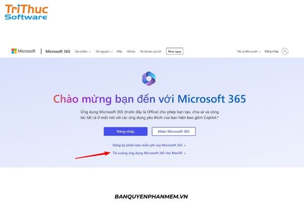 Tải xuống để cài đặt Office 365