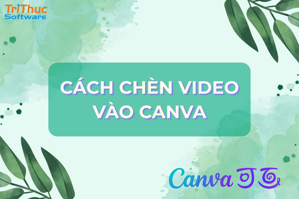 Cách chèn video vào Canva trên máy tính và điện thoại, hướng dẫn từng bước đơn giản
