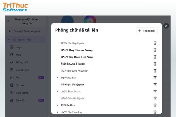 Hoàn tất và sử dụng font chữ