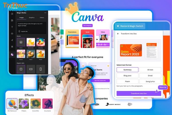 Sử dụng tài khoản Canva Pro để tải font chữ