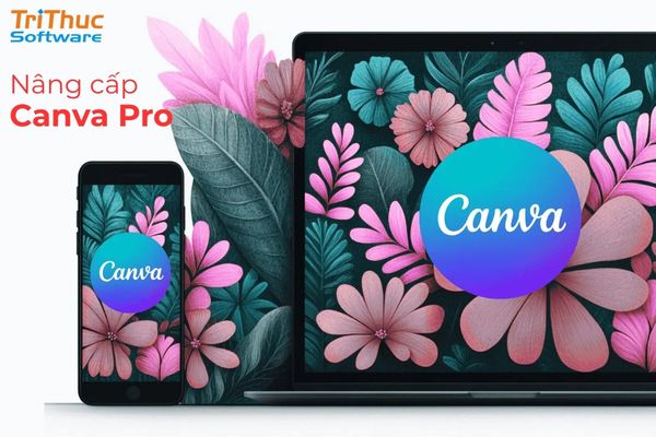 Nâng cấp Canva để hạn chế lỗi
