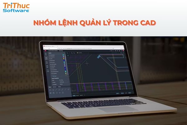 Nhóm lệnh quản lý trong AutoCAD giúp tổ chức, thiết lập và kiểm soát bản vẽ hiệu quả