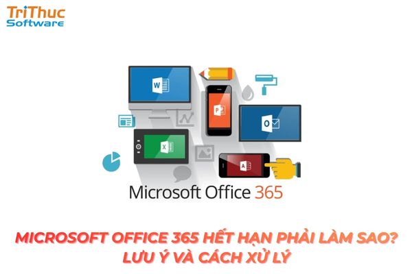 Office 365 hết hạn phải làm sao? Cách kiểm tra tình trạng gói và hướng dẫn gia hạn