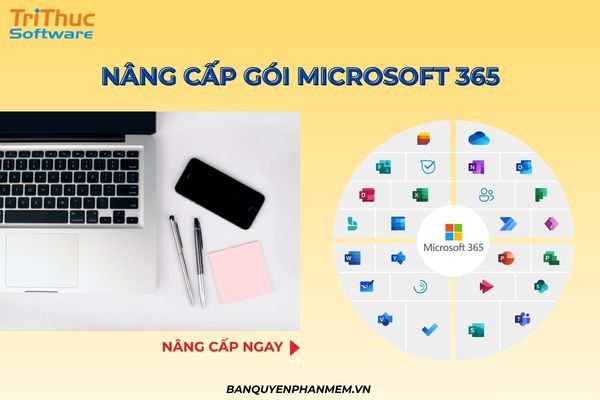Nâng cấp gói Microsoft 365 phù hợp giúp tối ưu chi phí và đáp ứng tốt hơn nhu cầu