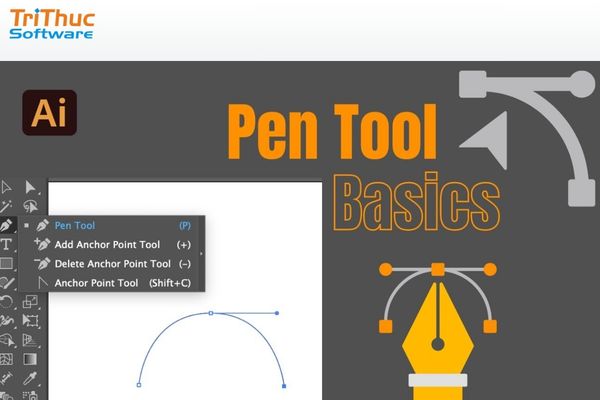 Vẽ đường cong và hình vector